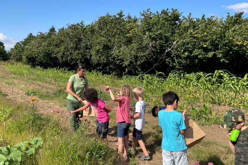 Papermaking for Kids (Youth Ages 8 - 12)